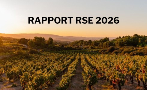 Rapport RSE 2026